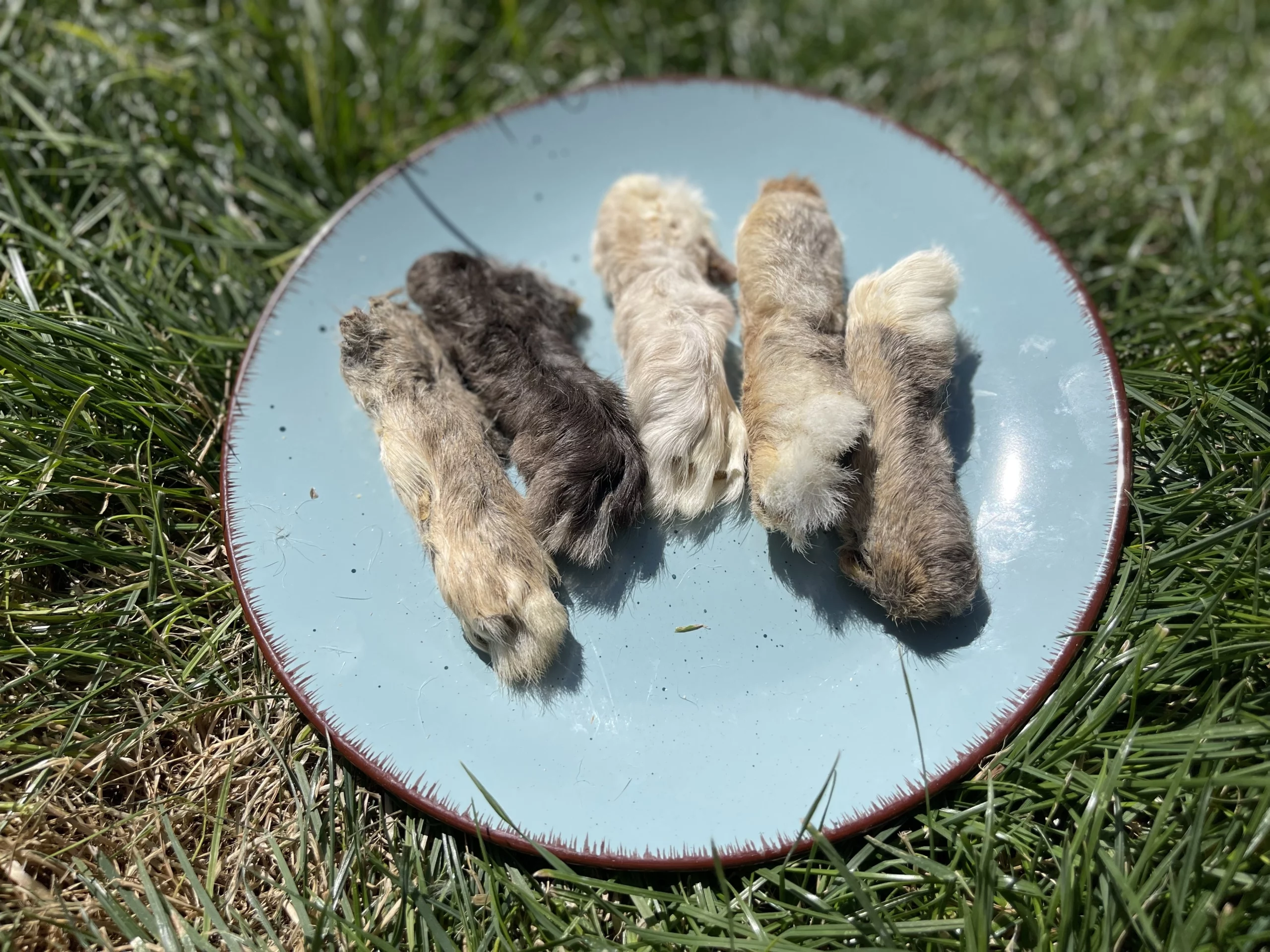 8A4E1008-3933-45D6-9A37-211881988DA9