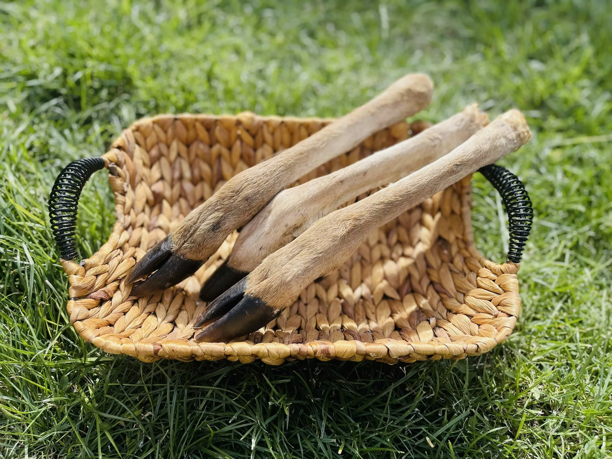 9DCE4537-9276-4D0B-923D-CC2B88B6A1E5