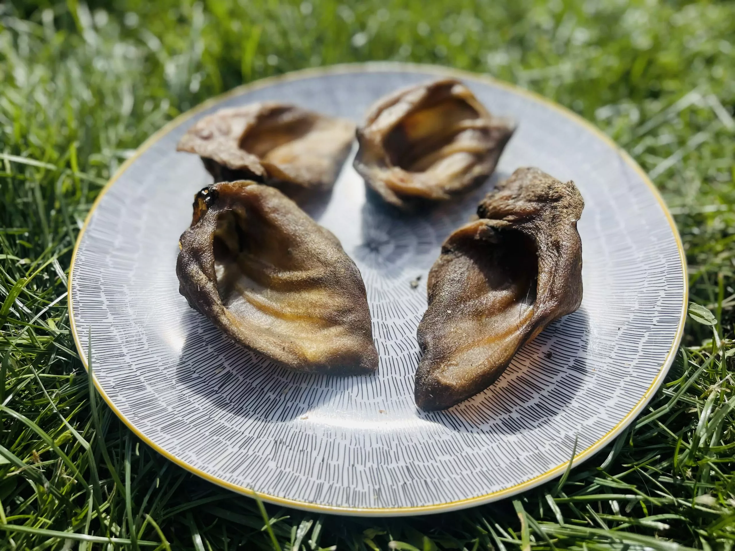 B57C9537-8D5A-45D8-A7E8-B586A0286CAF