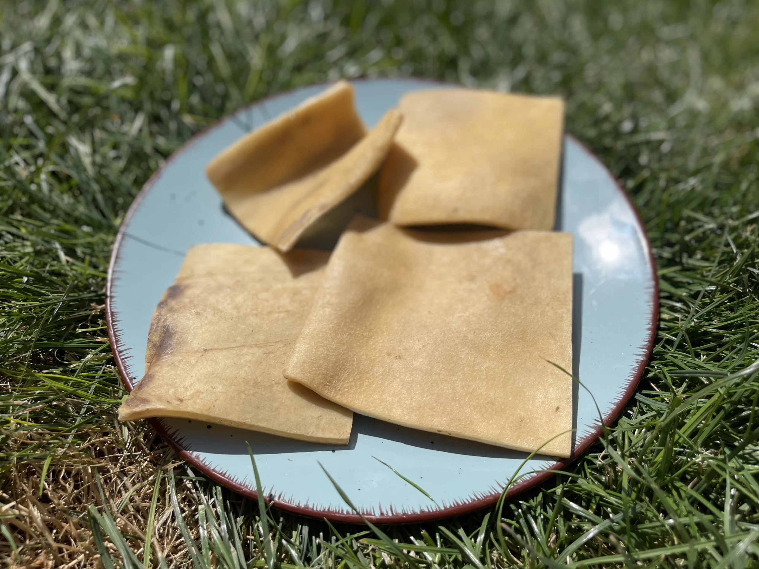 B59C4C8B-A3CB-45CE-9FF2-C8D99A44920F