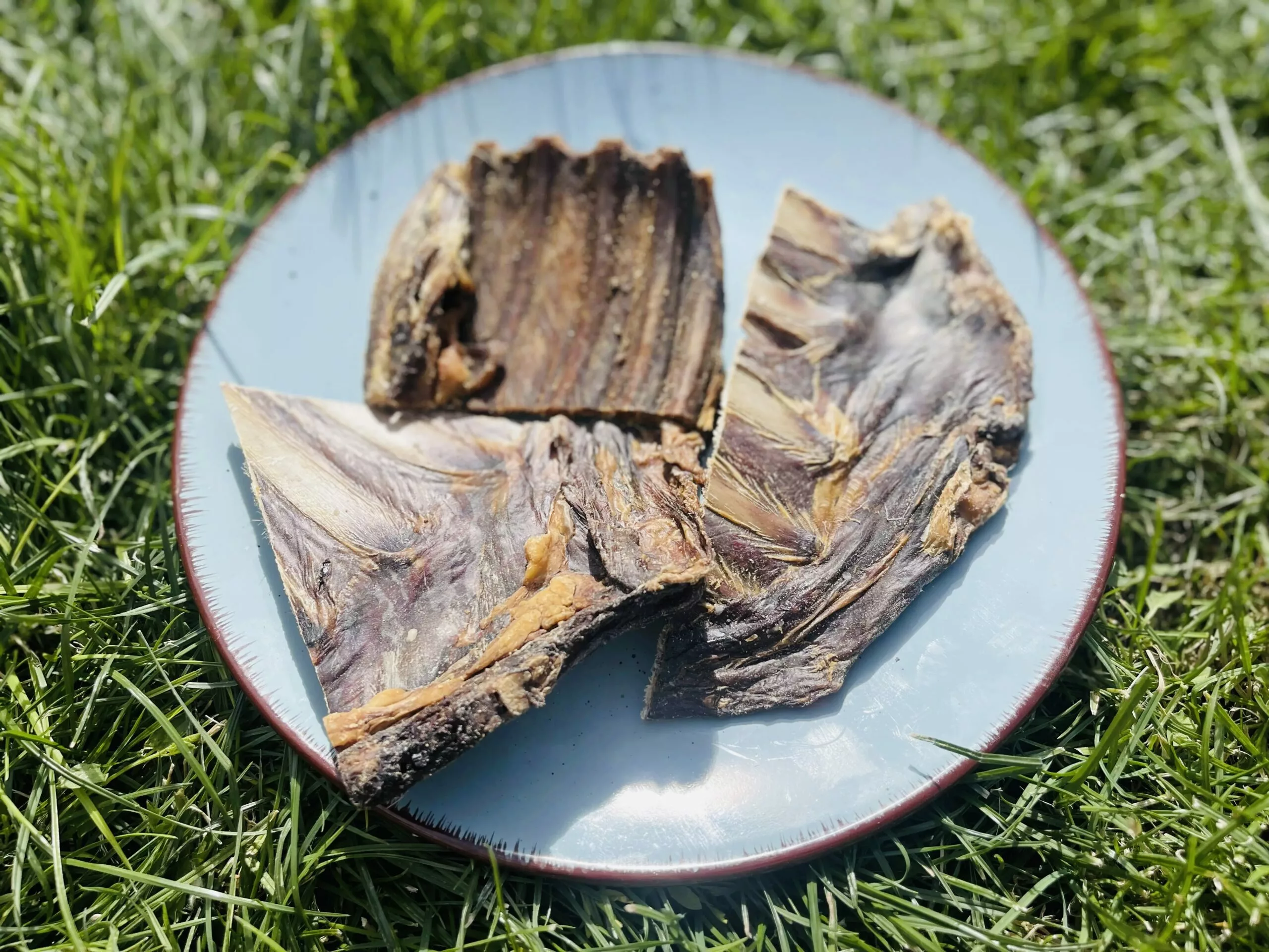 E2B4E013-C309-48AF-8C57-973CCEE78E11