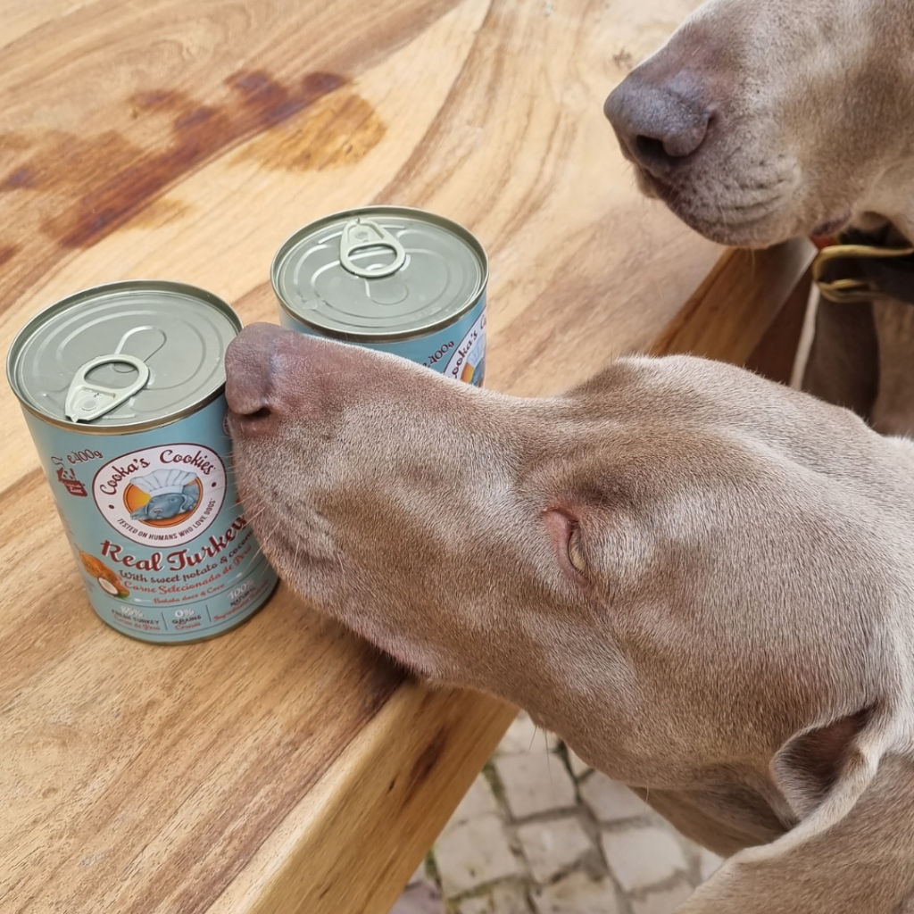 Turkey-smells-good-1024x1024