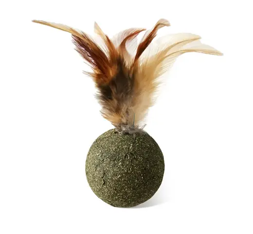 006A78B6-2710-4218-8477-17FE7DF34C60