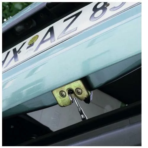 picture_6313_original