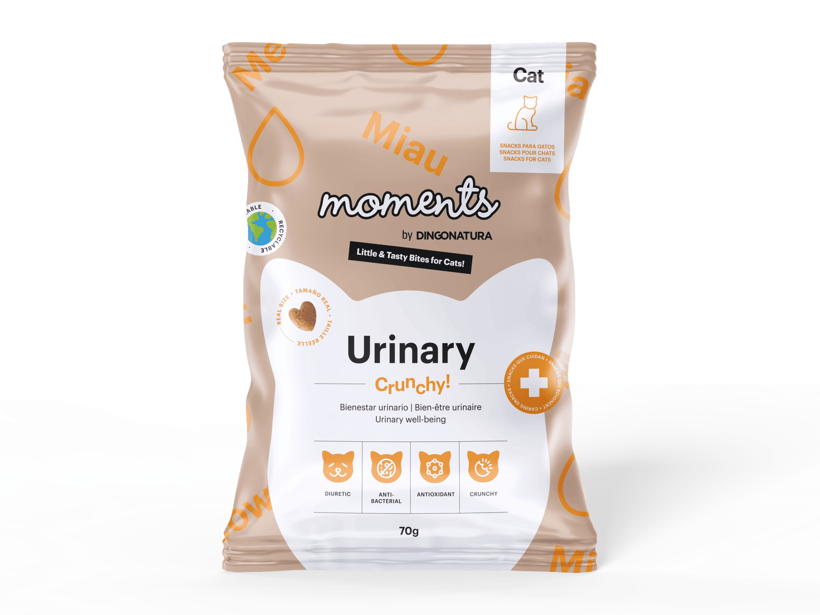 7924F466-EABE-4358-BFD6-15BDA93F3473