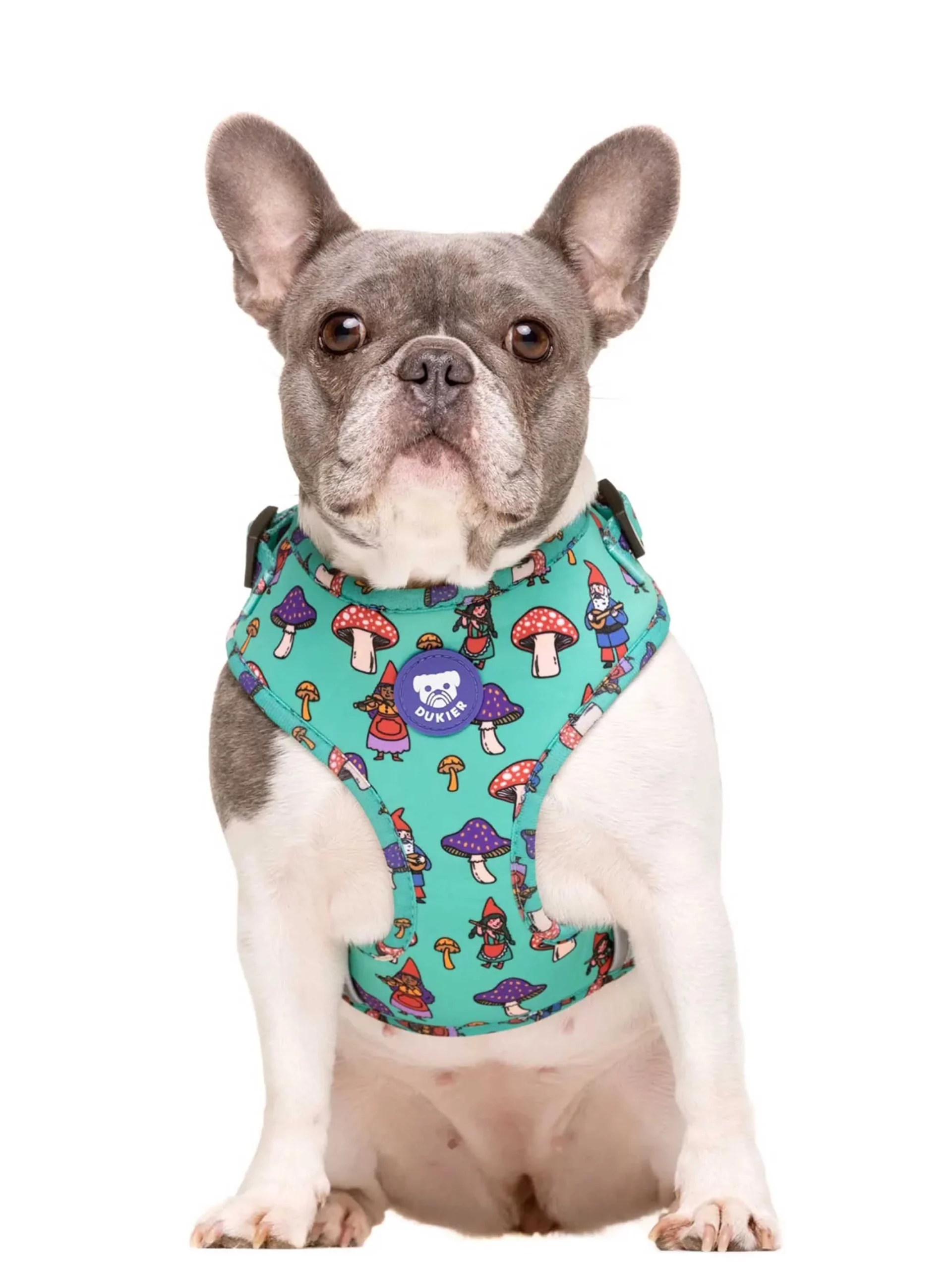 Arnes-Ajustable-Gnomes_2000x_1_2130x