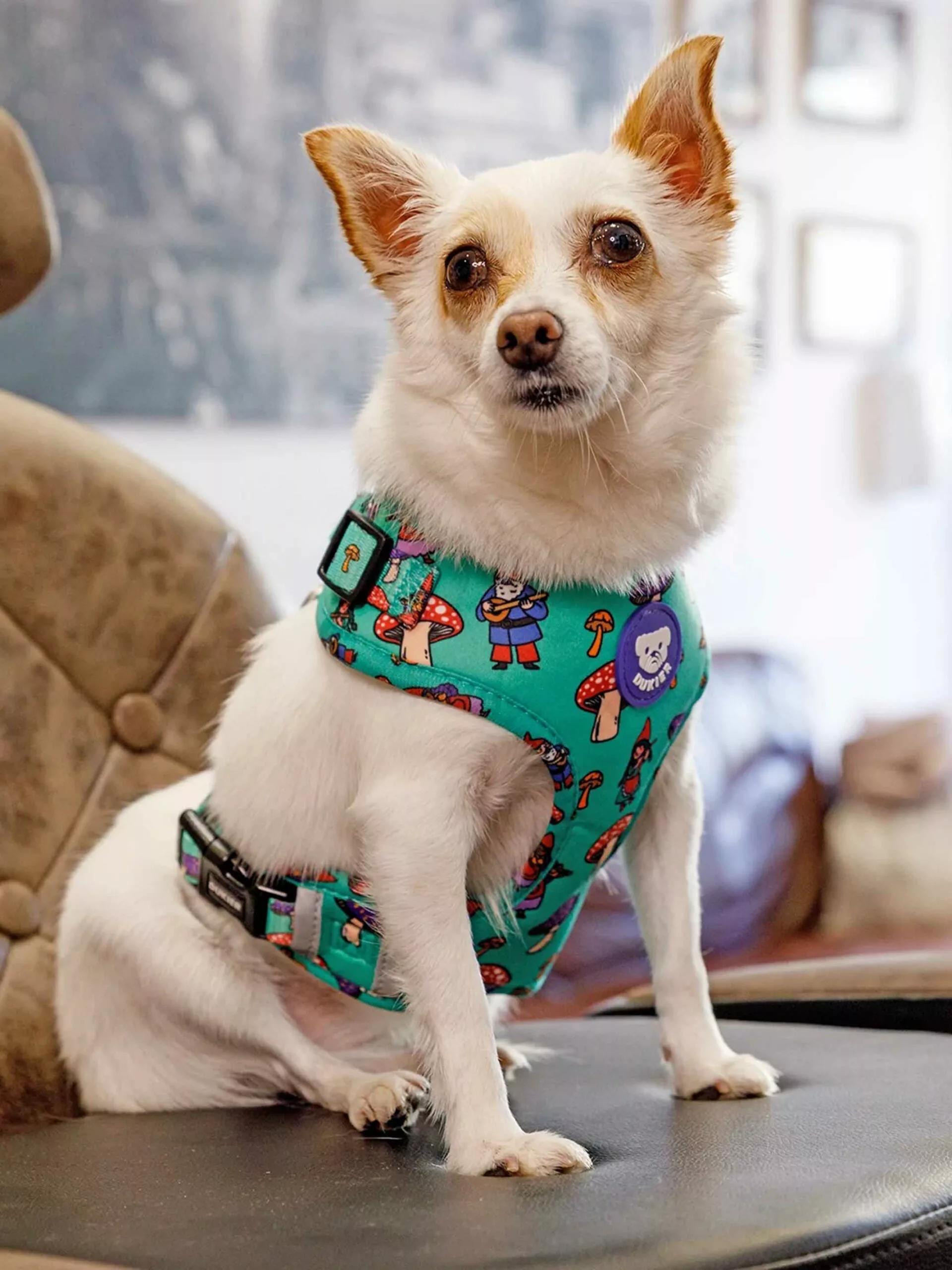 ArnesAjustable_gonomos-2_2000x_1_2130x