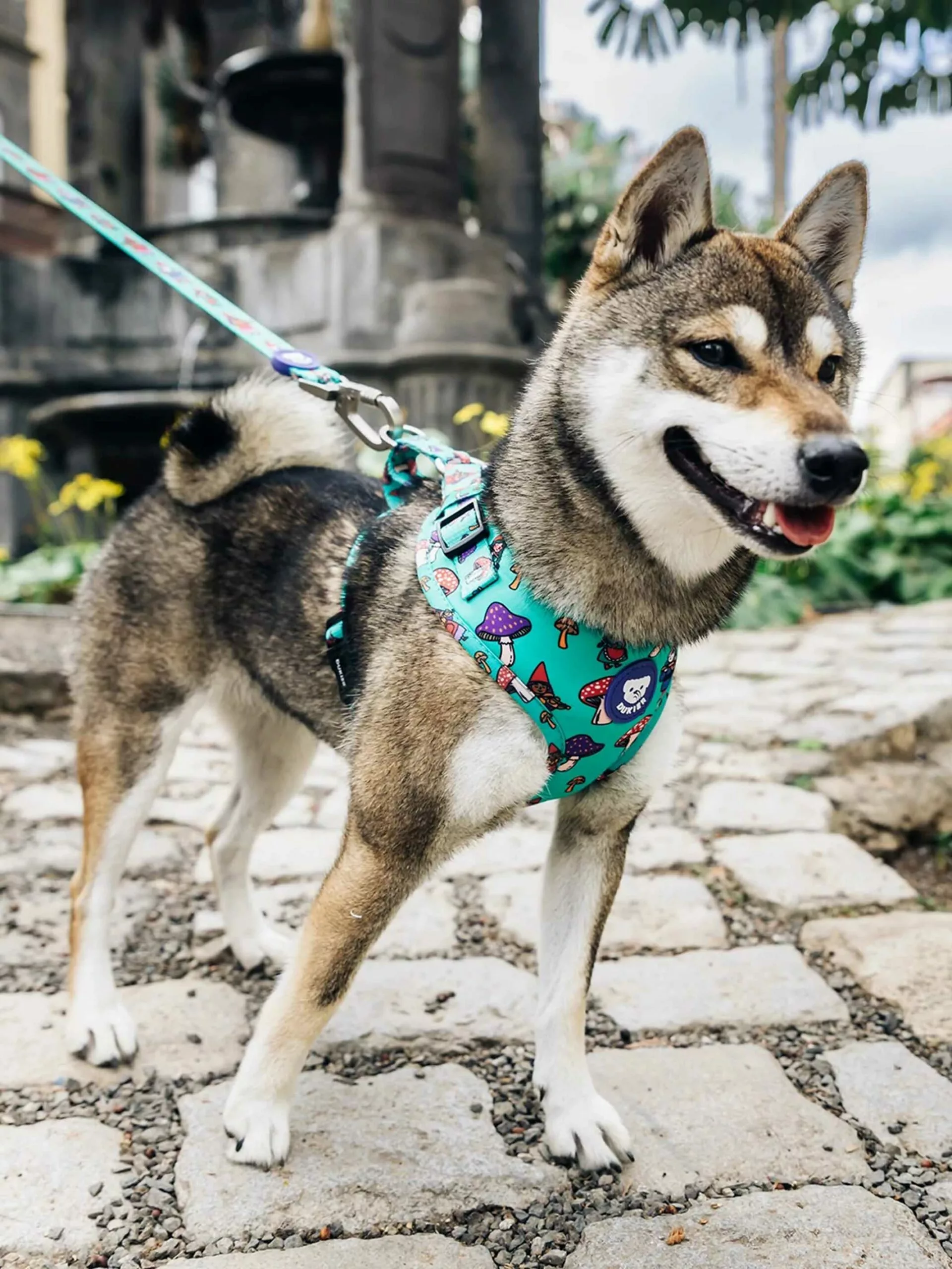 ArnesAjustable_gonomos_2000x_376eb24a-24f8-4a94-a6ca-c014ffbea107_2130x