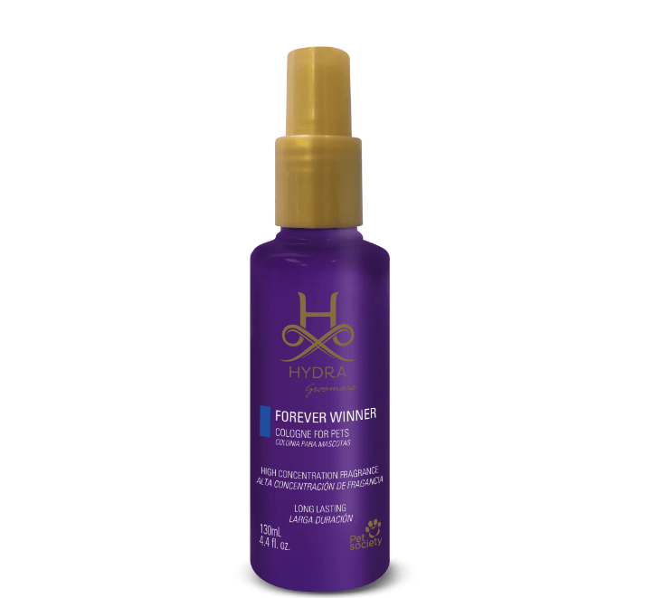 Captura de pantalla 2022-12-13 000503