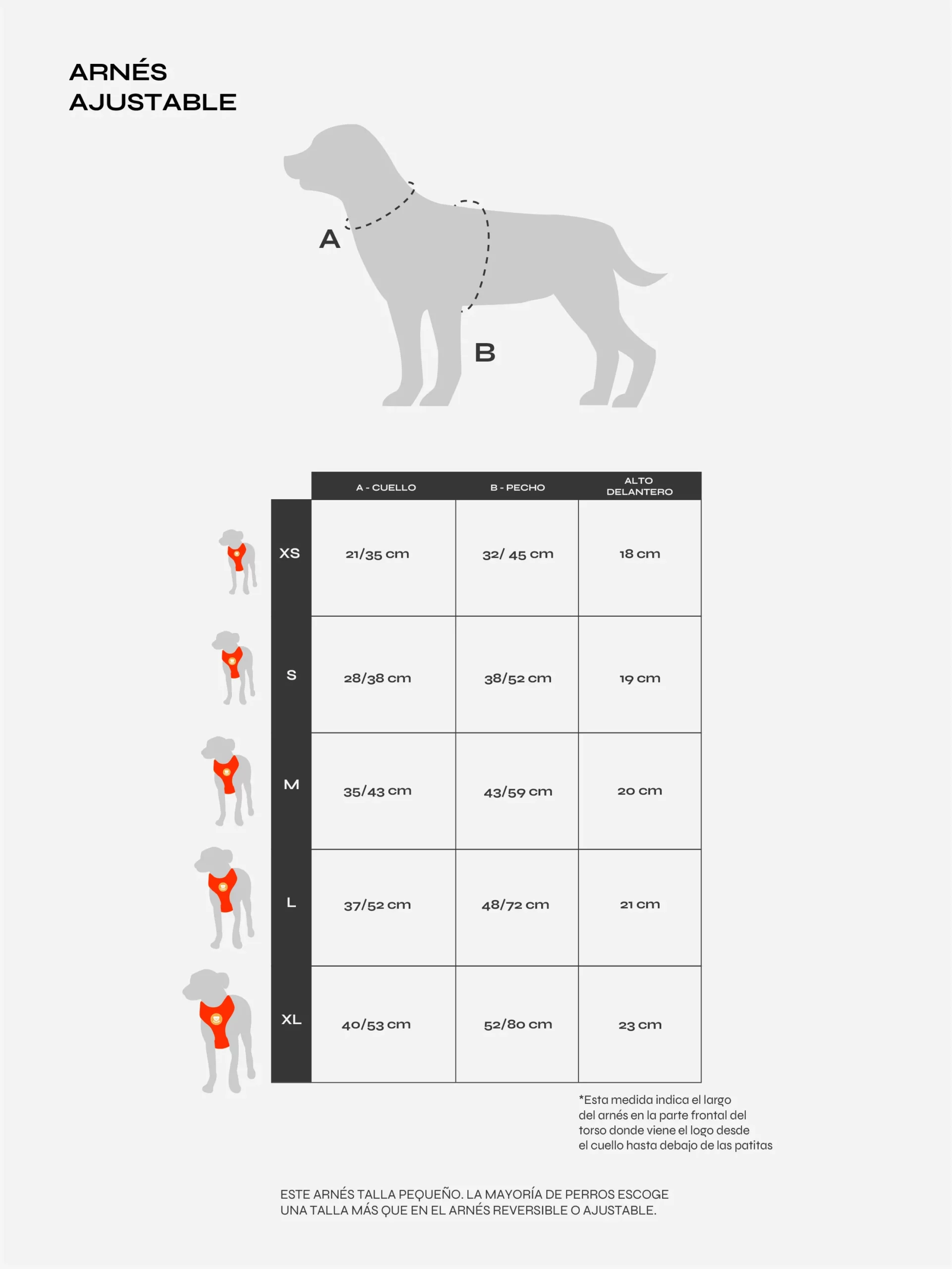 Dukier_Guia_de_talles_2-04_1e1934f3-3825-4abe-9f20-64cb8559e06c