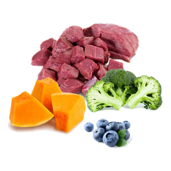 ComponentesCiervo_grande