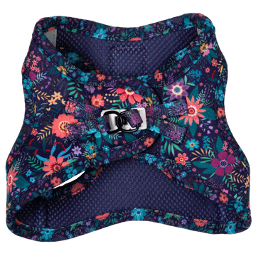 8D66562C-8A7E-477E-AAB0-9D24FC9AC383-min