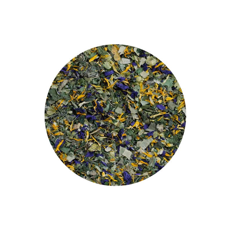 6405C5C0-D88D-48A4-9607-619D8184CE04