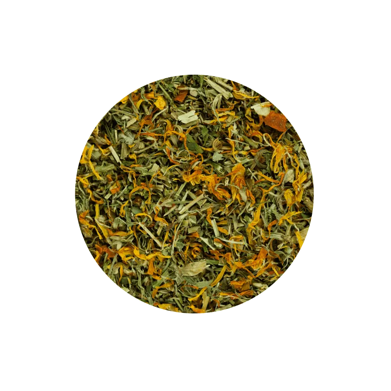 FF96E6A7-4725-4730-8A3B-BC37E65F7B2C