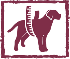 obesidad-weight-dog