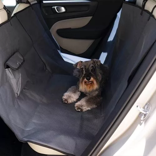 picture_35751_original