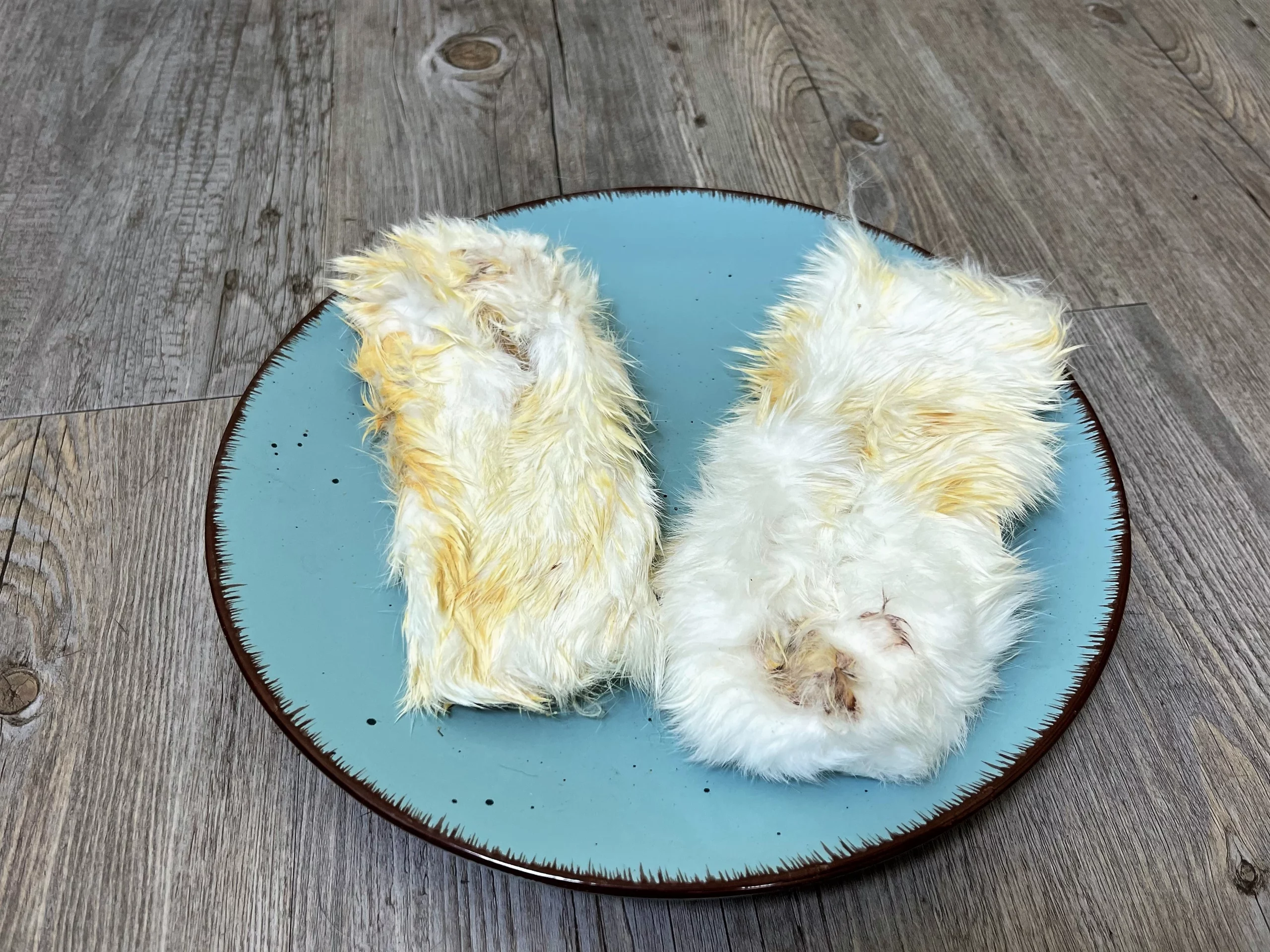 piel de conejo con pelo 2