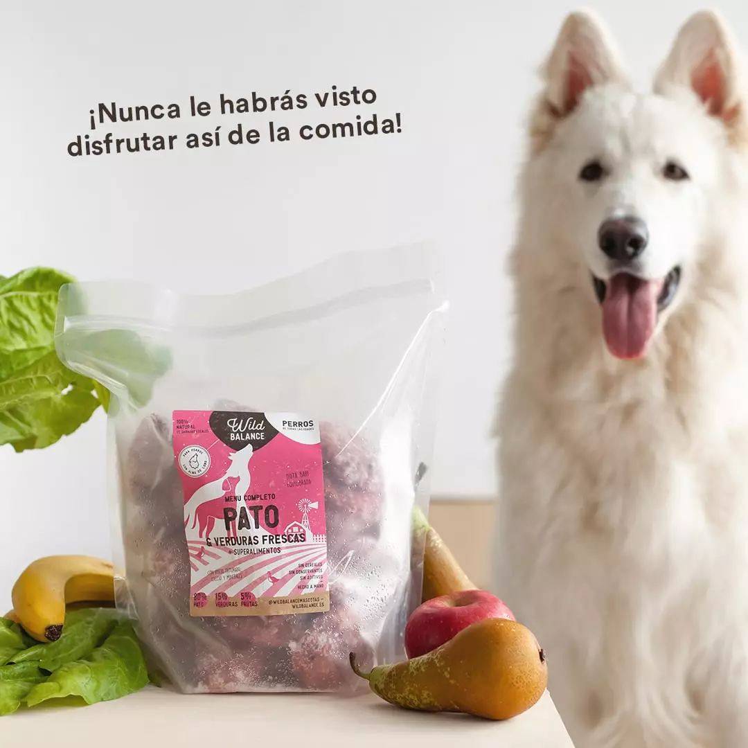 wild-balance_menu-barf-pato-perros7-min