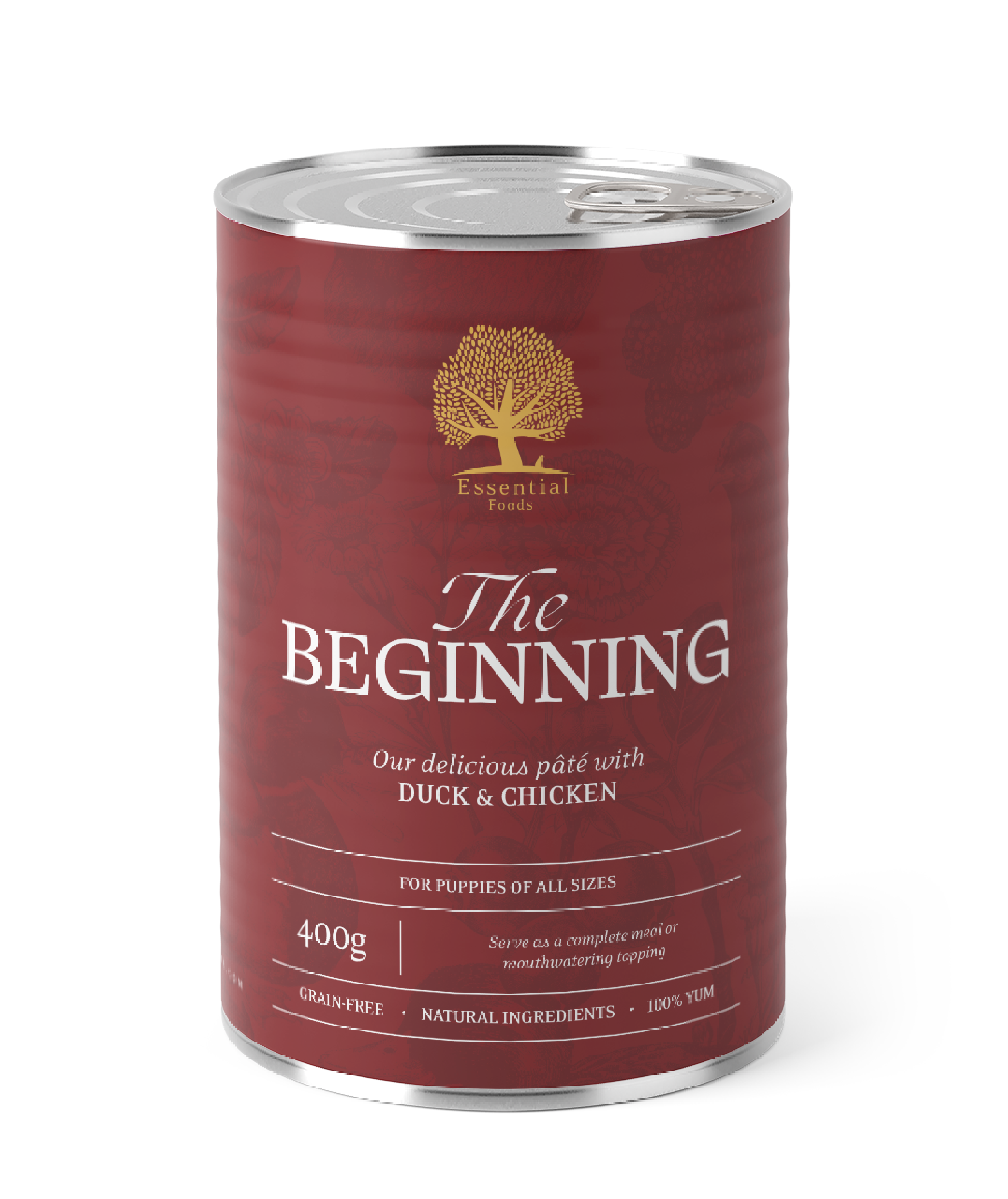 5011-1_BEGINNING-PATE-400G_packshot-can_web_no-background