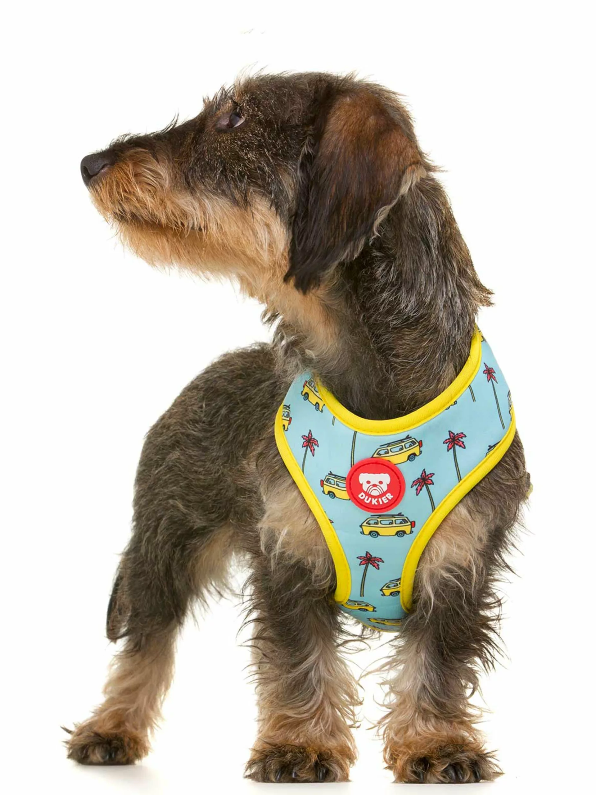 AR_california_0_2000x_6a411905-c78a-4fb5-8bc8-4cd784a68079