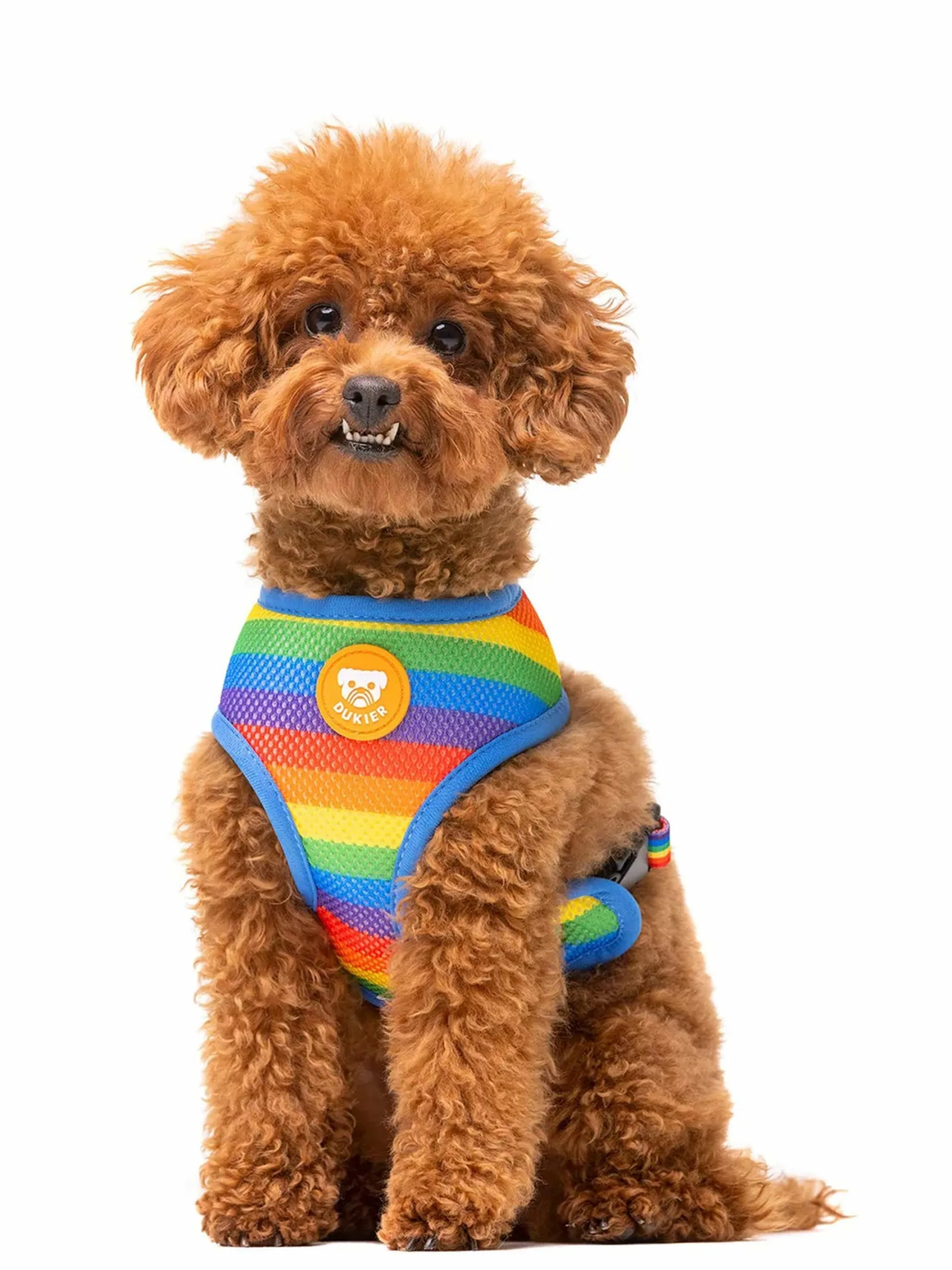 arnes-reversible-unicorns-web3_2000x_e65065db-6c1d-49d8-b739-461b6b6e5d54